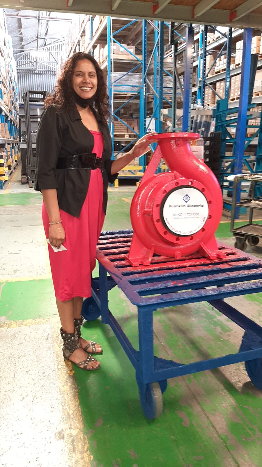 Positive Displacement Assembly Inspection - Grace Pump Services